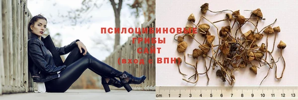 амф Абаза