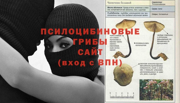 амф Абаза
