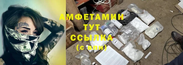 сатива Нея