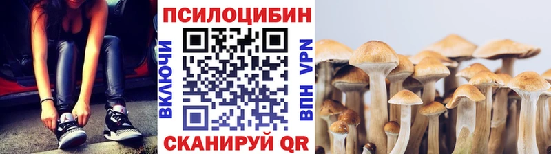 Галлюциногенные грибы GOLDEN TEACHER  блэк спрут ссылка  Карпинск 