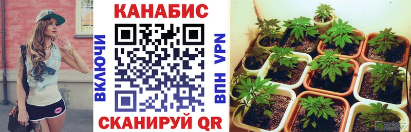 Бошки Шишки Amnesia  купить  цена  Карпинск 